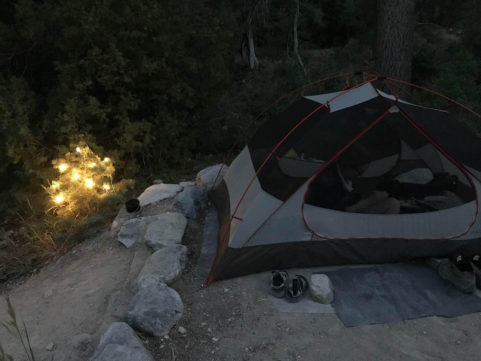 Susan V.'s photo at Upper Lehman Creek Campground — Great Basin National Park near Baker, NV