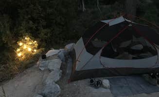Susan V.'s photo at Upper Lehman Creek Campground — Great Basin National Park near Baker, NV