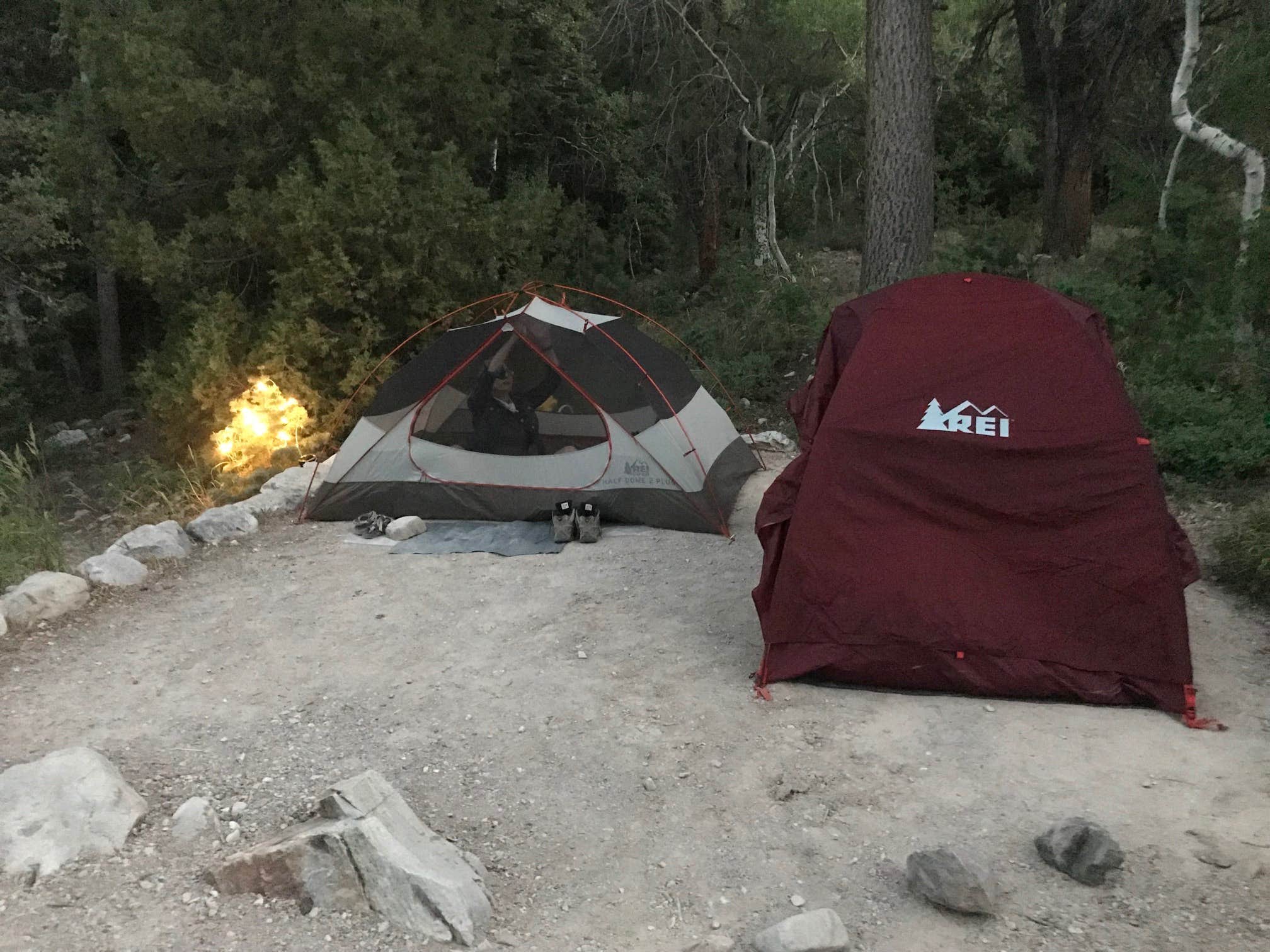 Susan V.'s photo at Upper Lehman Creek Campground — Great Basin National Park near Great Basin National Park