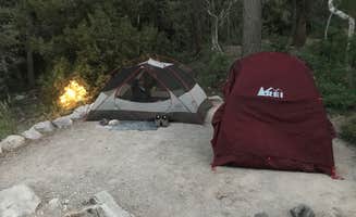 Susan V.'s photo at Upper Lehman Creek Campground — Great Basin National Park near Great Basin National Park