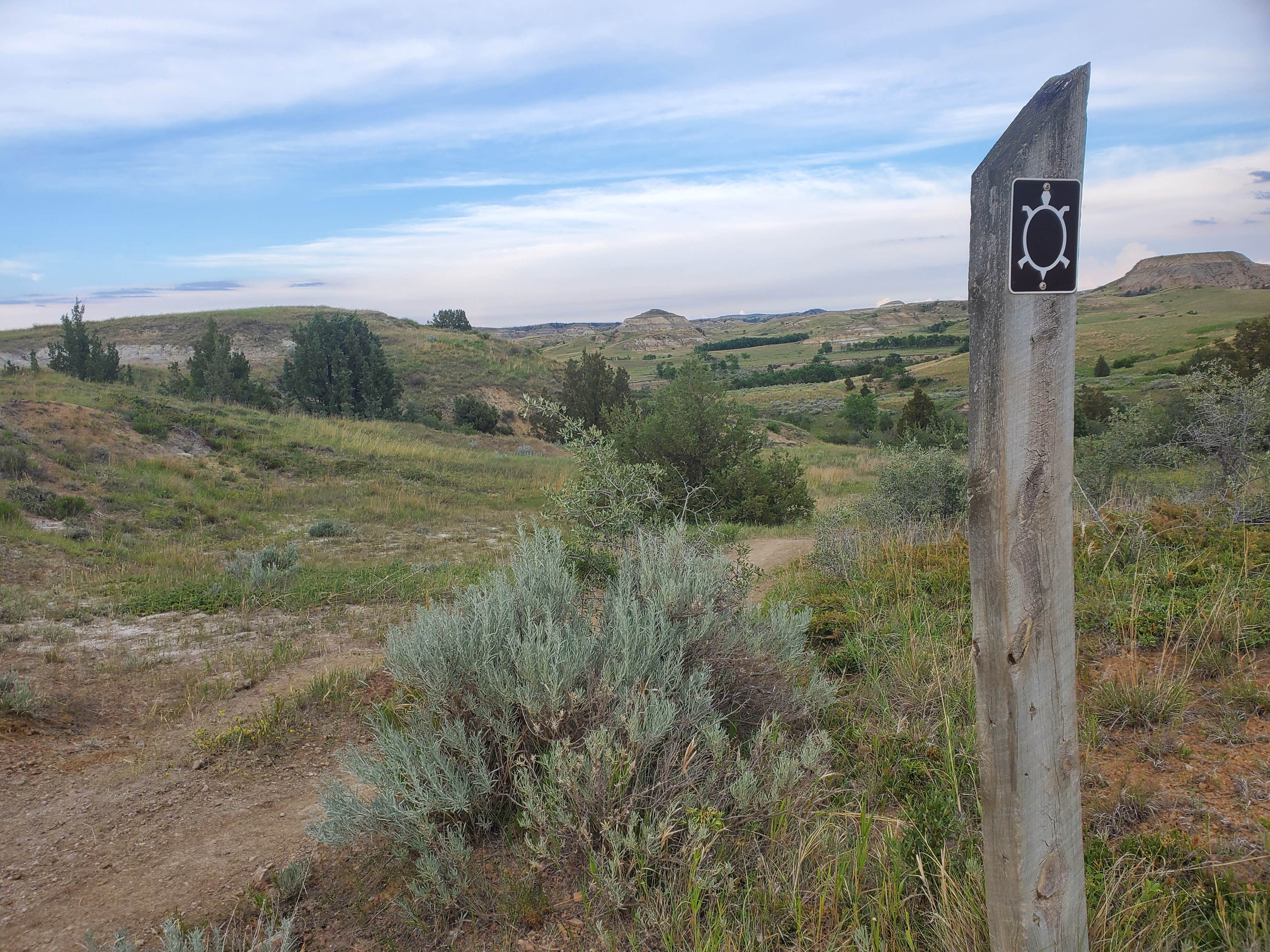 Camper submitted image from Magpie Campground - 2