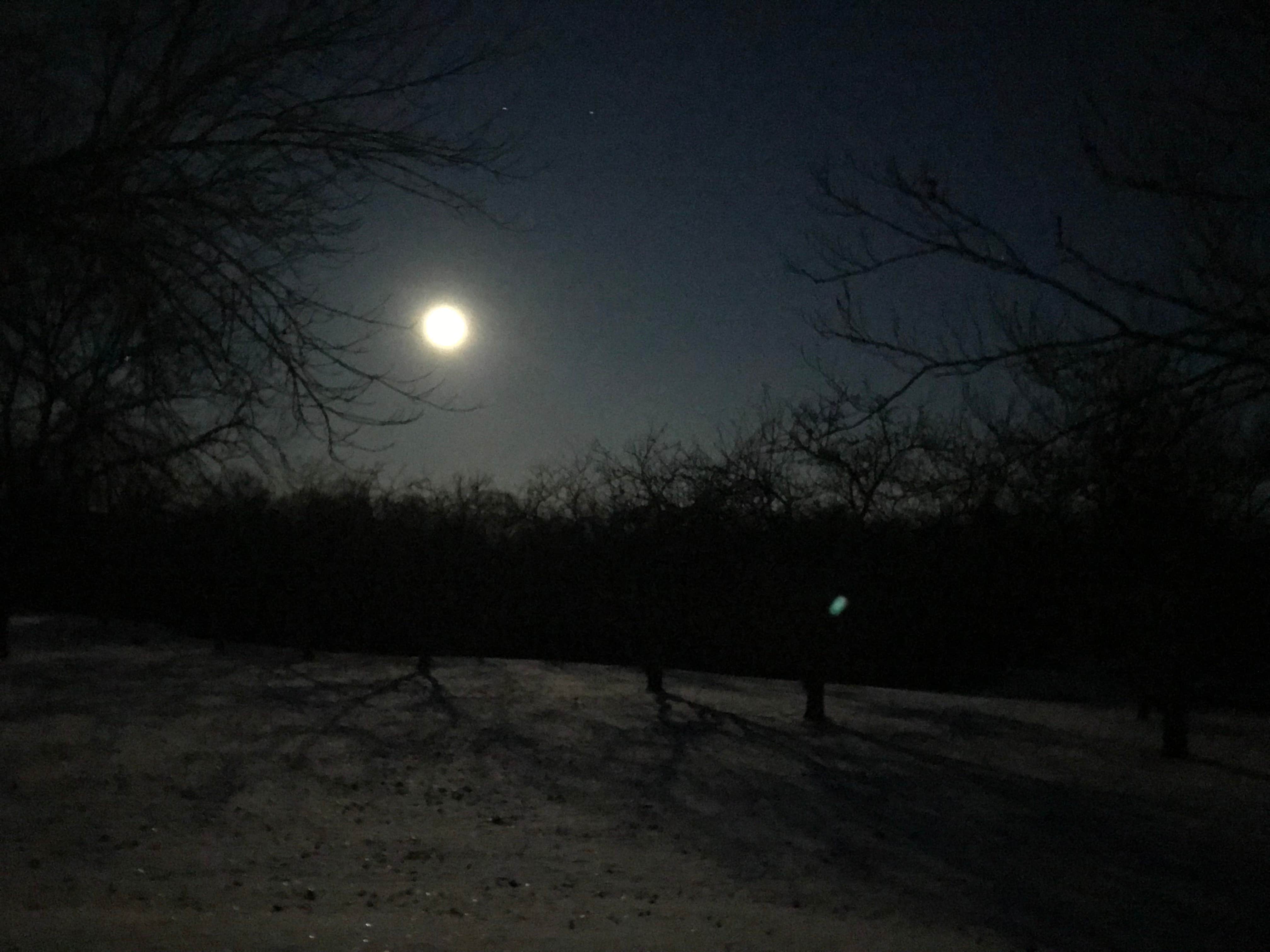 Camper submitted image from Paint Creek State Park Campground - 3
