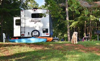 Imagine C.'s photo of camping with pets at Bolding Mill near Chattahoochee-Oconee National Forest