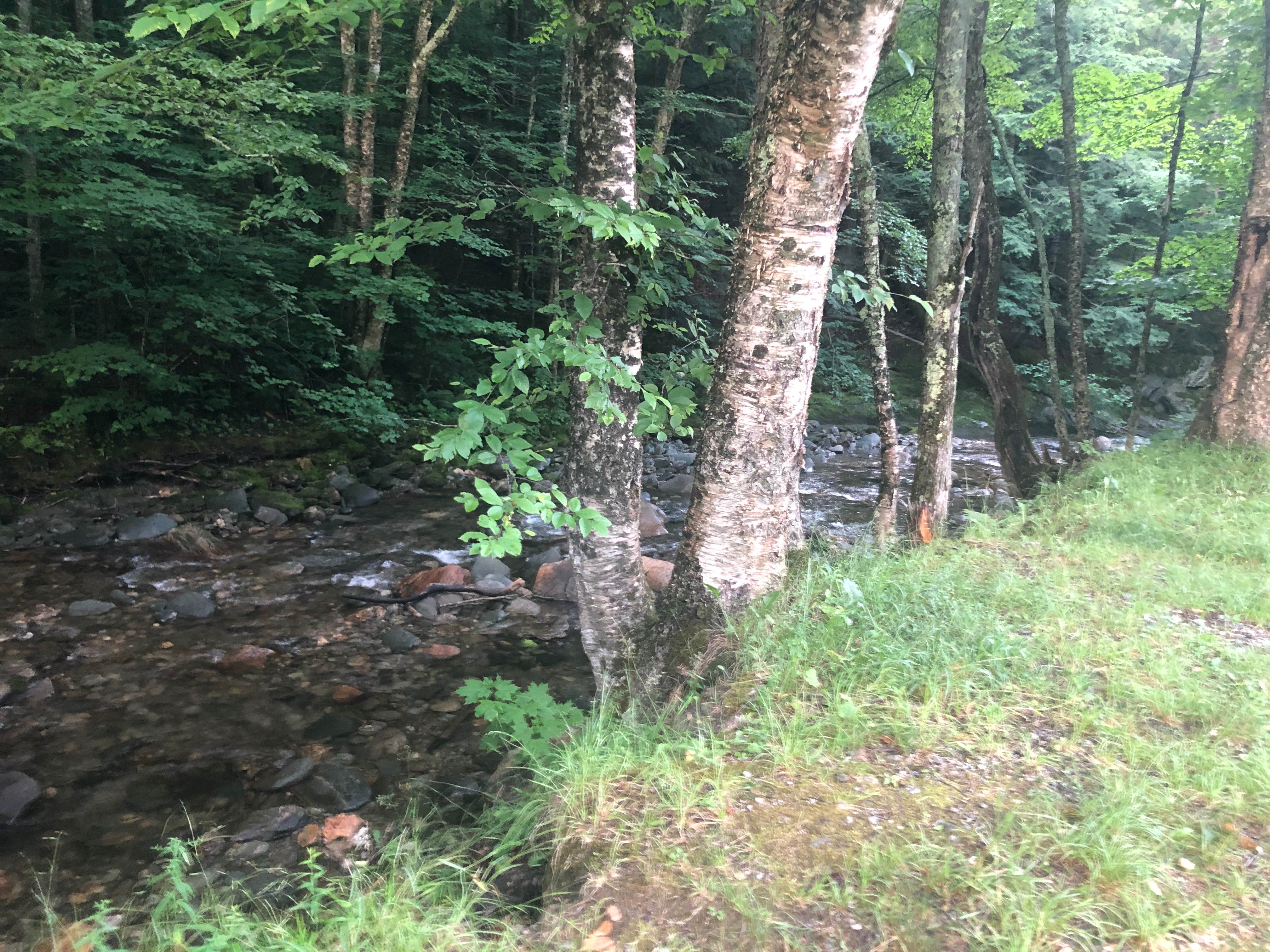 Camper-submitted photo at Route 100 Dispersed Camping near Bradford, VT