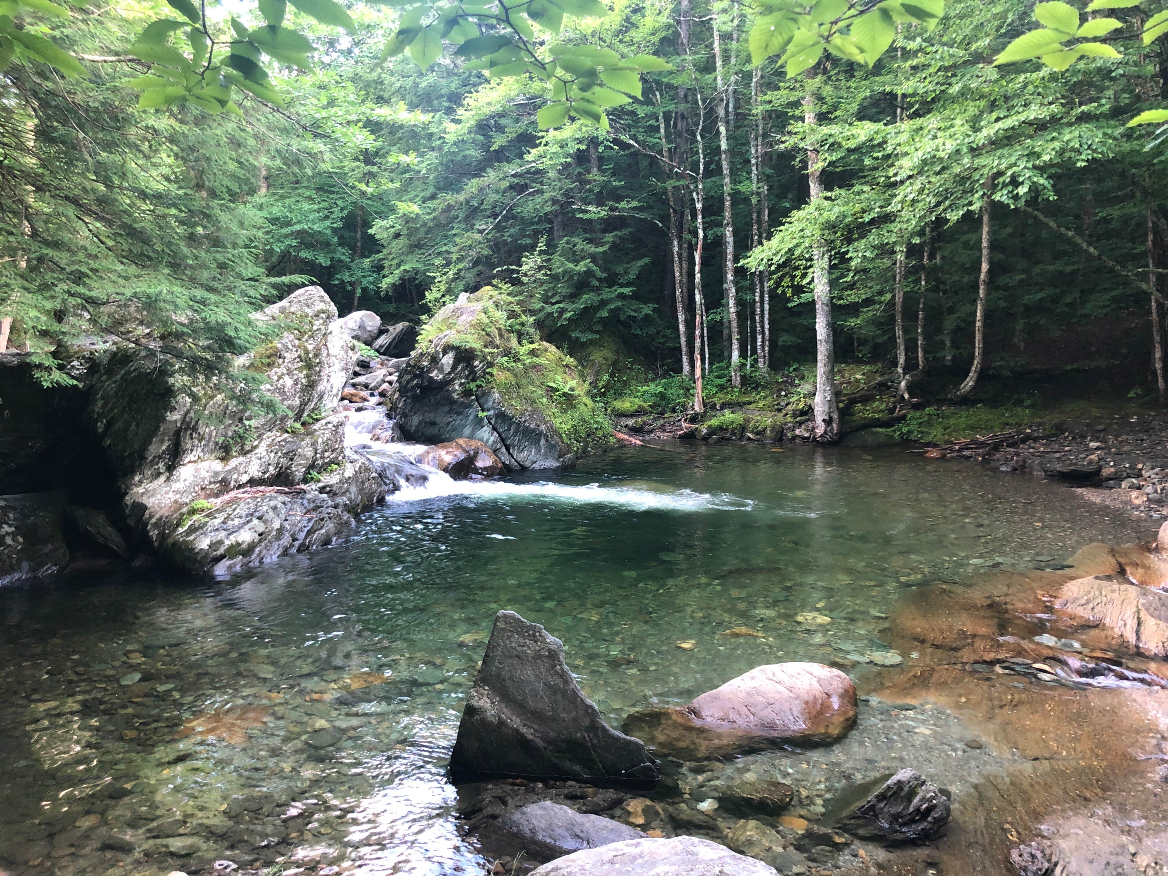 Camper-submitted photo at Route 100 Dispersed Camping near Bradford, VT
