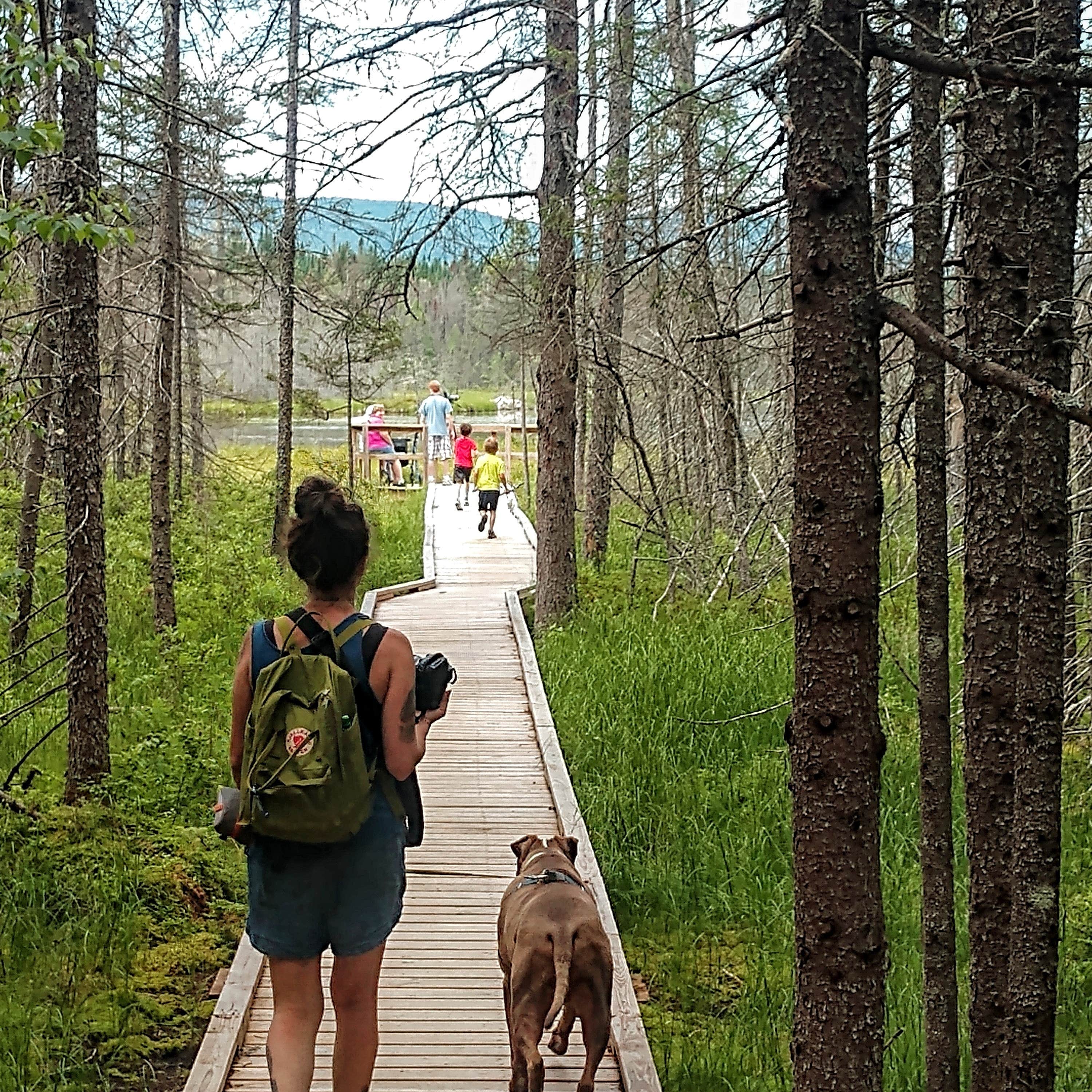 Kyle B.'s photo of camping with pets at Brighton State Park Campground near Colebrook, NH