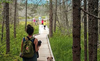 Kyle B.'s photo of camping with pets at Brighton State Park Campground near Island Pond, VT