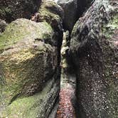 Review photo of West Branch State Park Campground by Jody R., February 19, 2018
