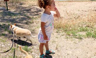 Melissa V.'s photo of camping with pets at Lincoln Highway RV Park in Nebraska