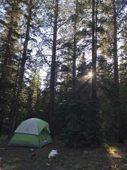Camper submitted image from Boreas Pass Road Designated Dispersed Camping - 3