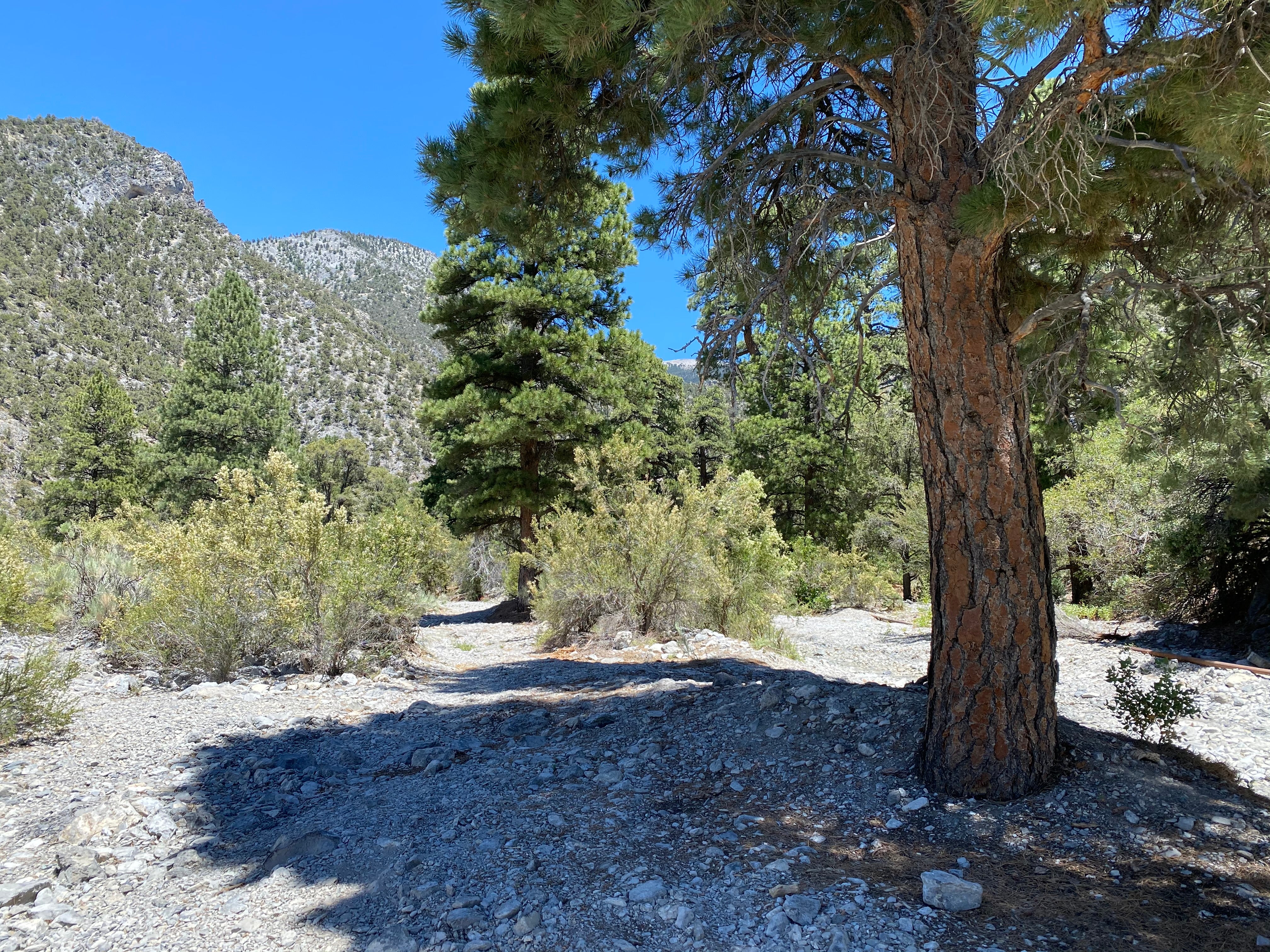 Camper submitted image from Carpenter Canyon - 1