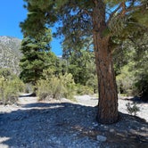 Review photo of Carpenter Canyon by Sam B., July 15, 2020