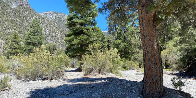 Camper submitted image from Carpenter Canyon