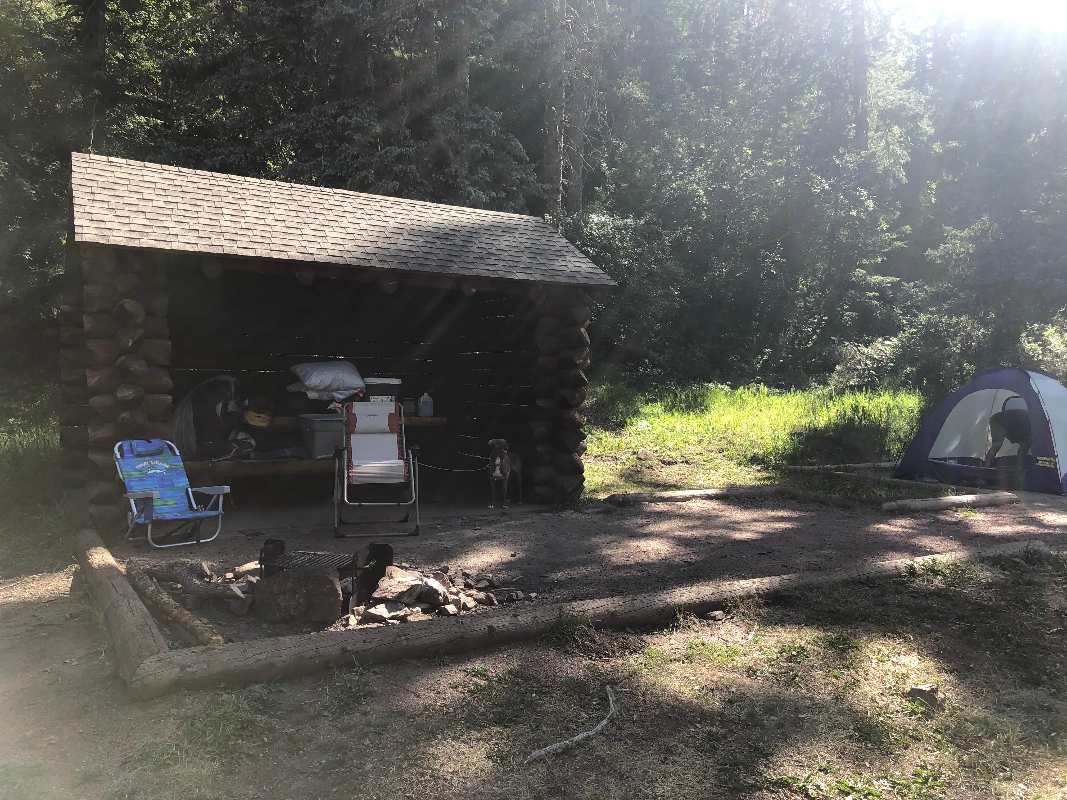 Michael P.'s photo of glamping accommodations at Davenport Campground near Cotopaxi, CO
