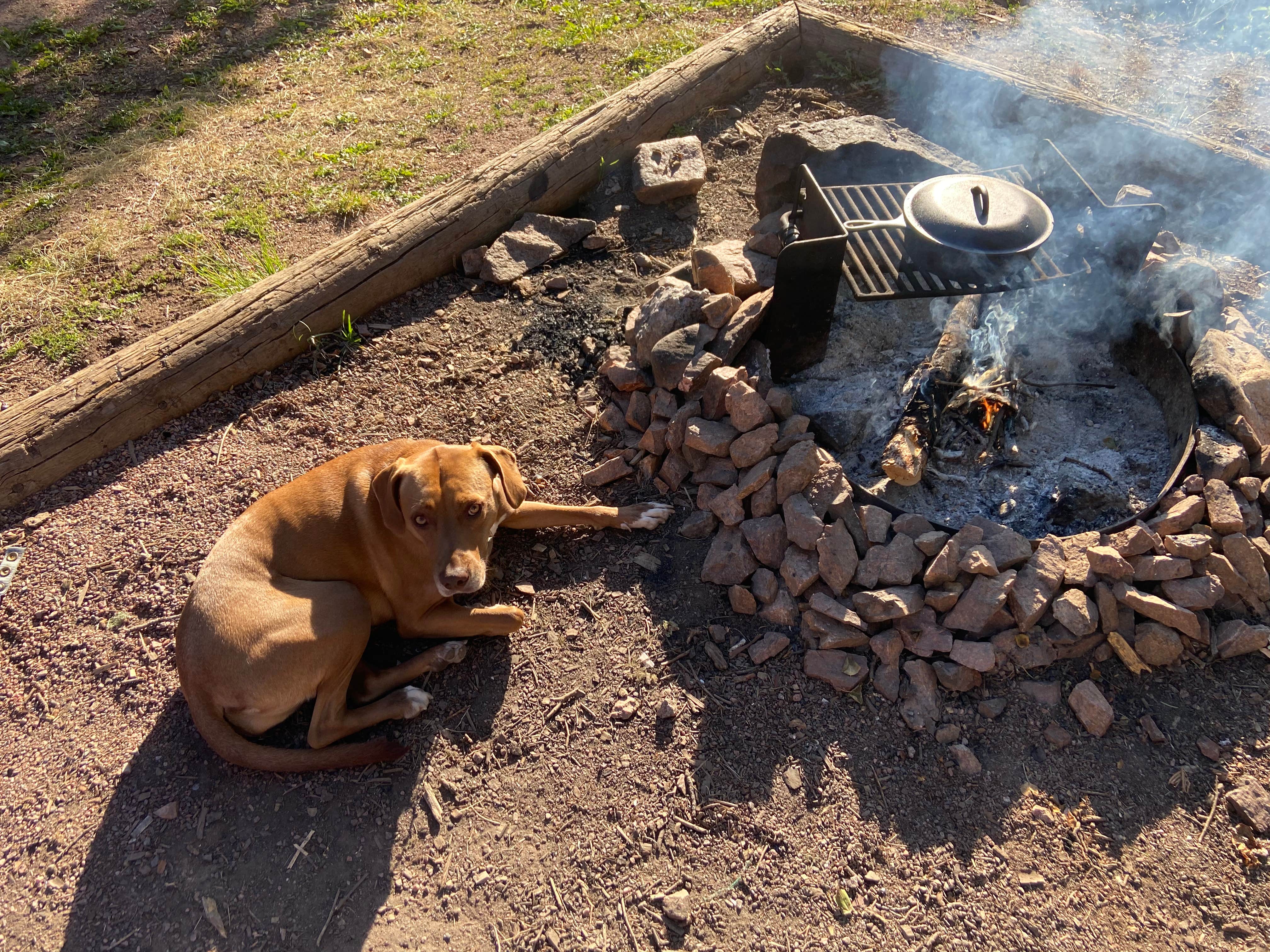 Camper submitted image from Davenport Campground - 3