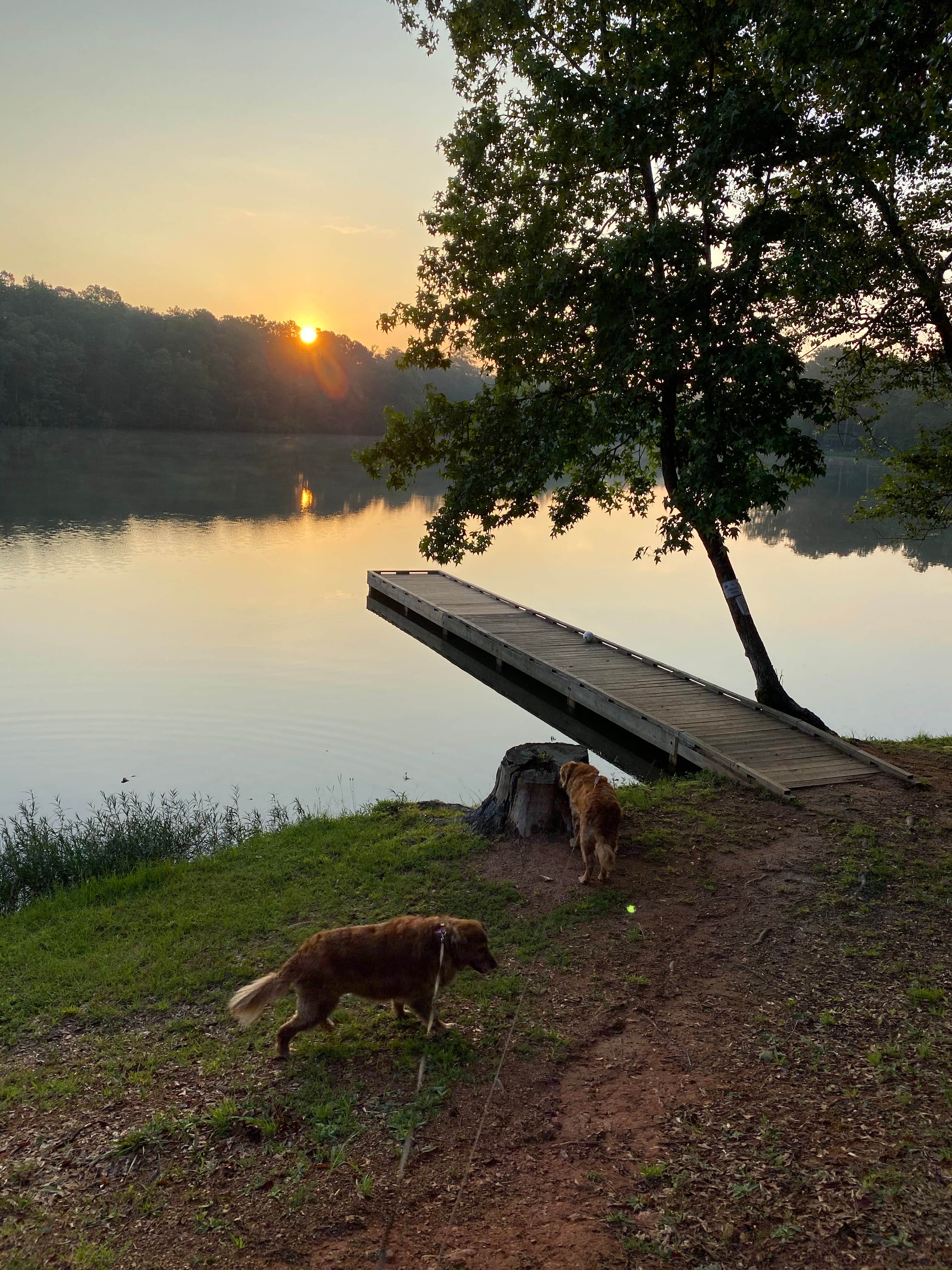 Camper submitted image from Blanton Creek Park Georgia Power - 4