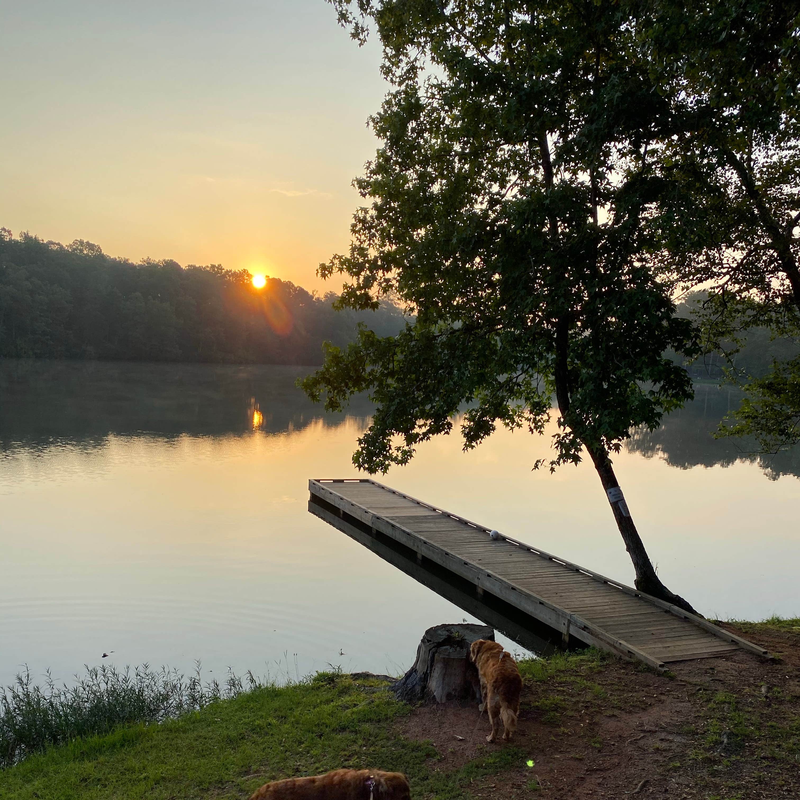 Blanton Creek Park Power Camping The Dyrt