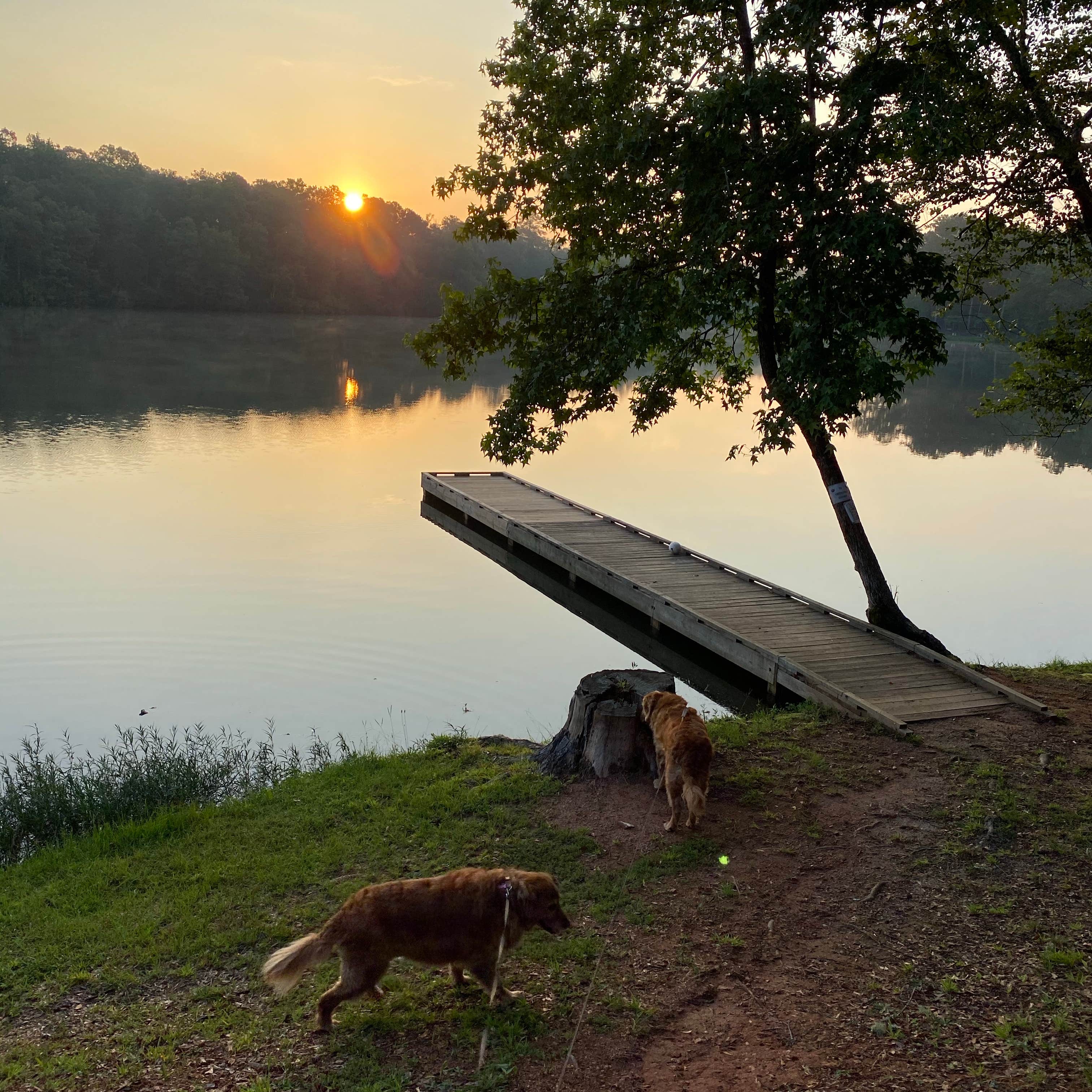 Escape To Nature’s Embrace: Your Guide To Georgia’s Blanton Creek Park