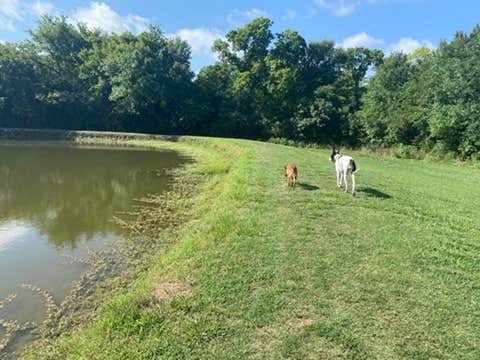 Camping near 429 Marina and Resort: Dallas-Northeast Campground, Fate, Texas