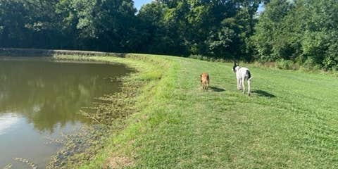 Camper submitted image from Dallas-Northeast Campground