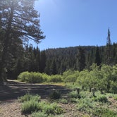 Review photo of Cave Lake Campground by Carolyn P., July 15, 2020