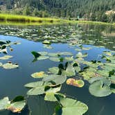 Review photo of Camp Coeur D Alene by Shamra P., July 15, 2020