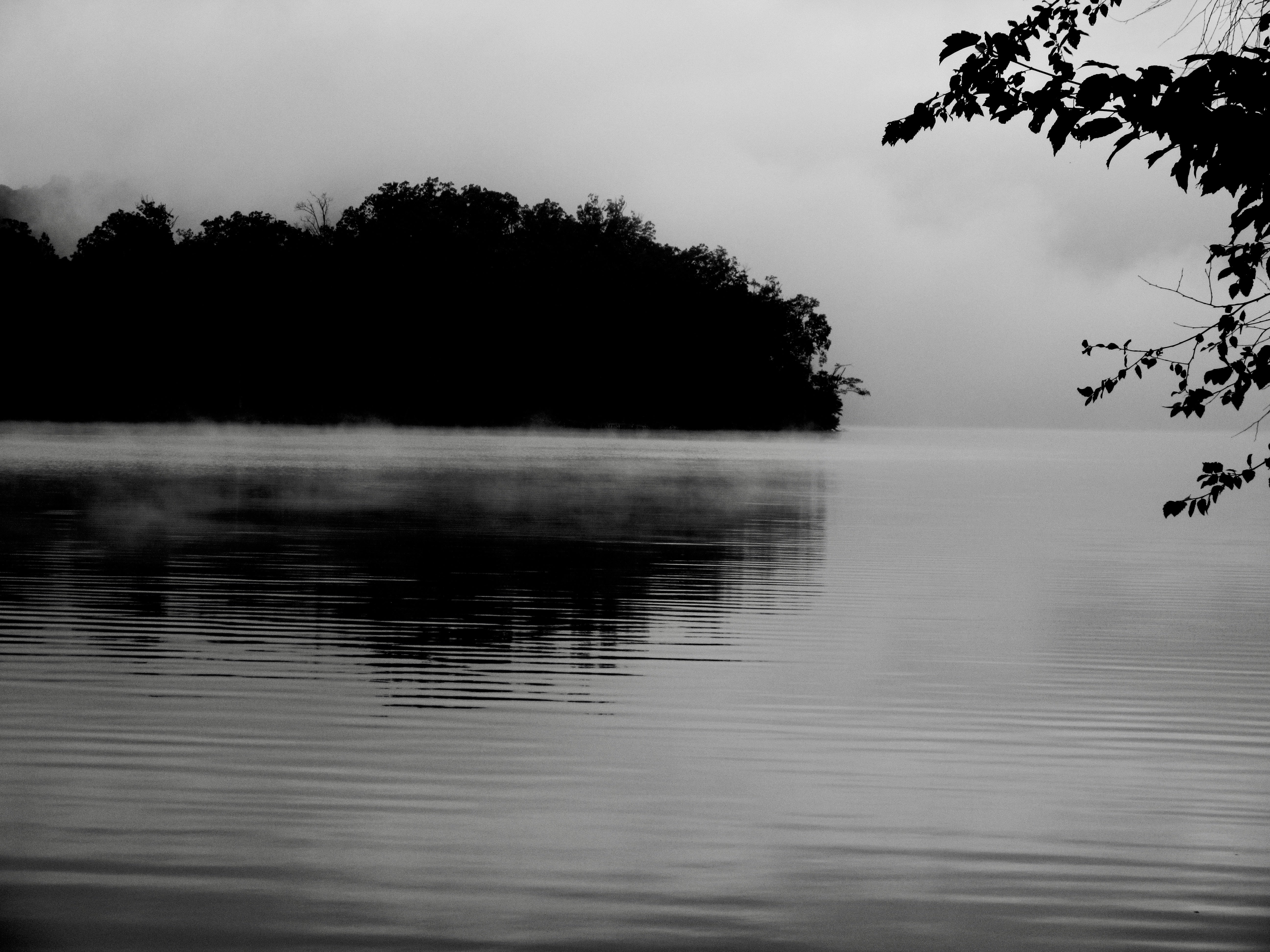 Morning fog over the lake