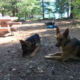 Review photo of Hoodview Campground by Carolyn P., July 15, 2020