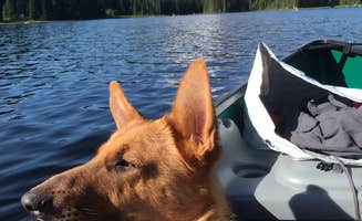 Carolyn P.'s photo of camping with pets at Hoodview Campground near Mt. Hood National Forest