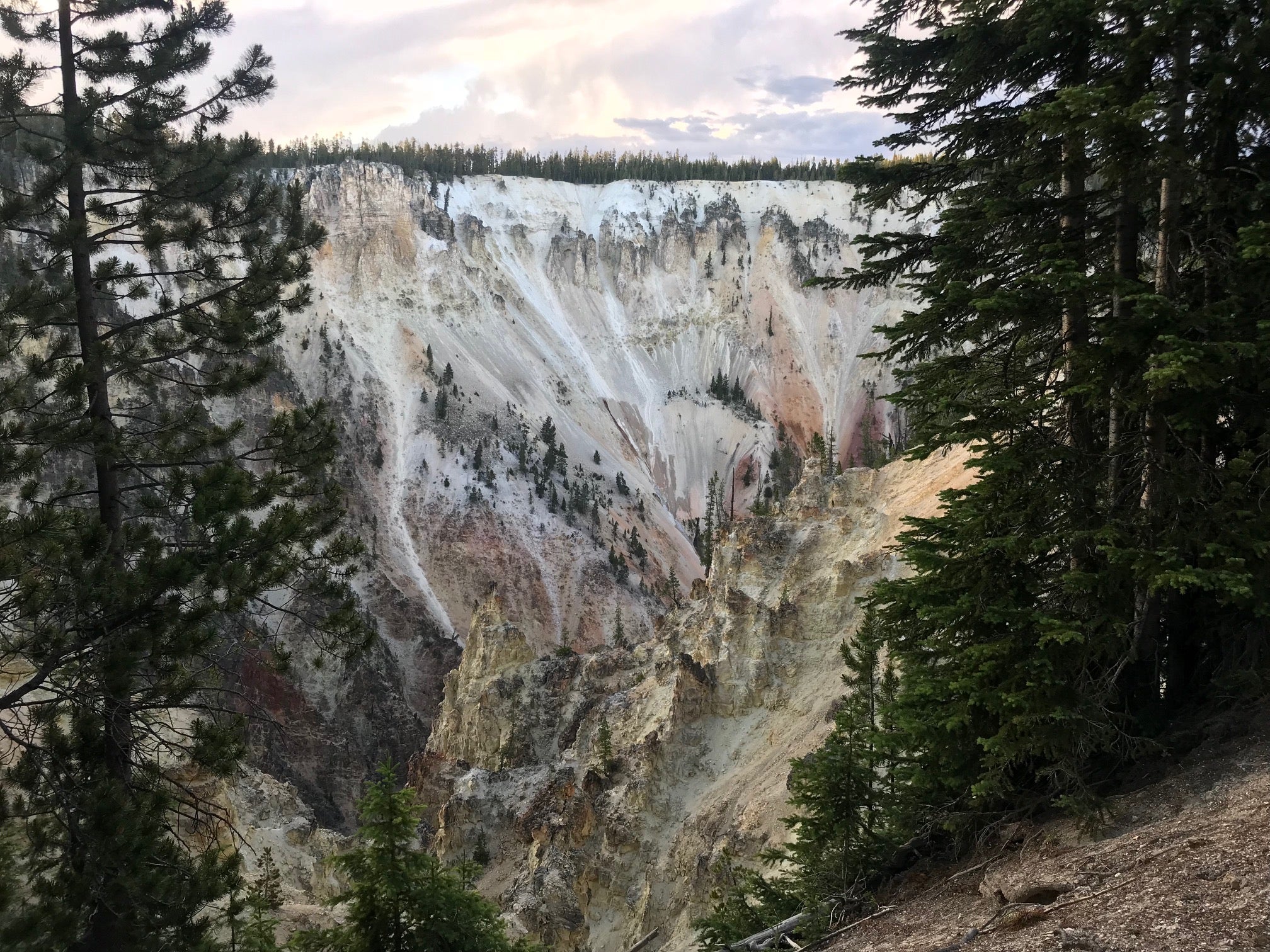 Pretty colors of the canyon at dusk. If you want to skip crowds at the major sites in Yellowstone, hit the major ones either early in the morning or late in the day.