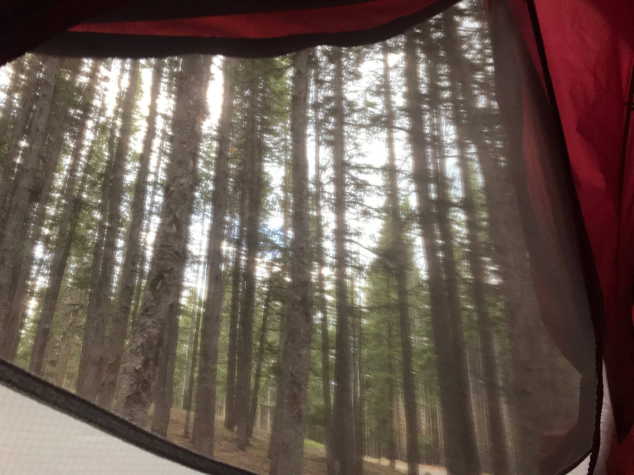 View from my tent. Lots of mosquitoes here in summer, so be prepared!