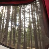 Review photo of Canyon Campground — Yellowstone National Park by Susan V., July 15, 2020