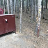 Review photo of Canyon Campground — Yellowstone National Park by Susan V., July 15, 2020