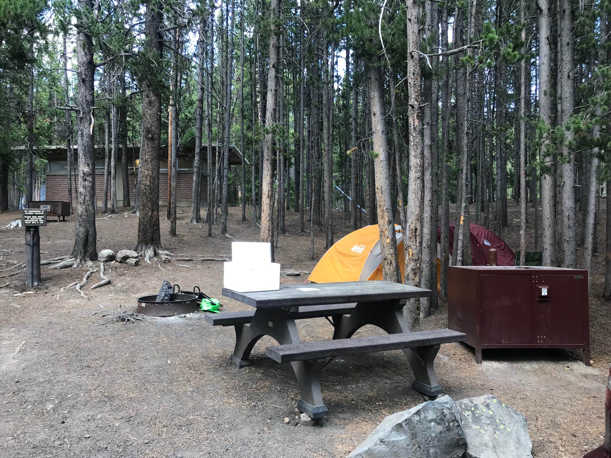 Susan V.'s photo at Canyon Campground — Yellowstone National Park near Yellowstone National Park