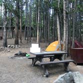 Review photo of Canyon Campground — Yellowstone National Park by Susan V., July 15, 2020