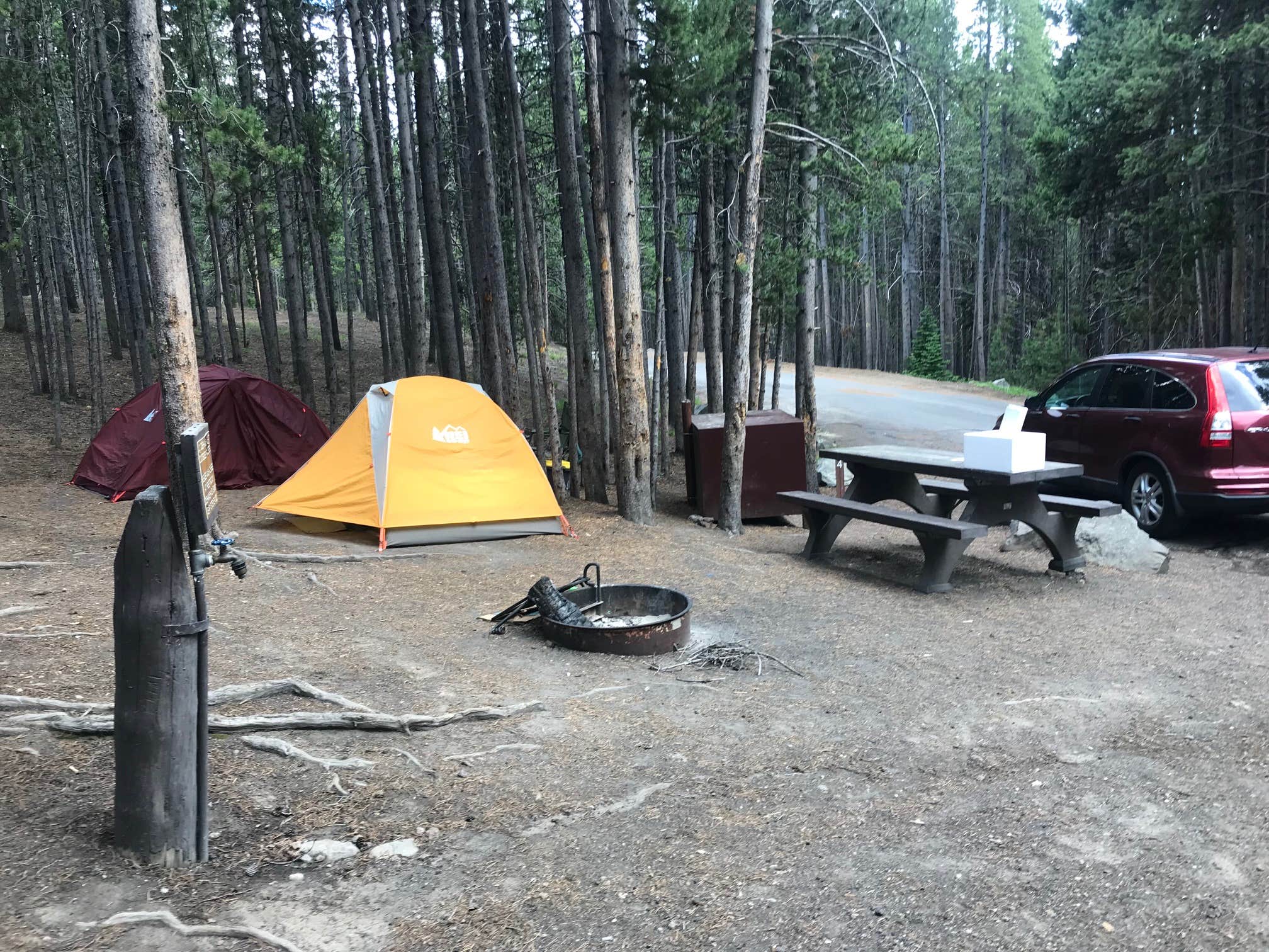 Susan V.'s photo at Canyon Campground — Yellowstone National Park near Yellowstone National Park
