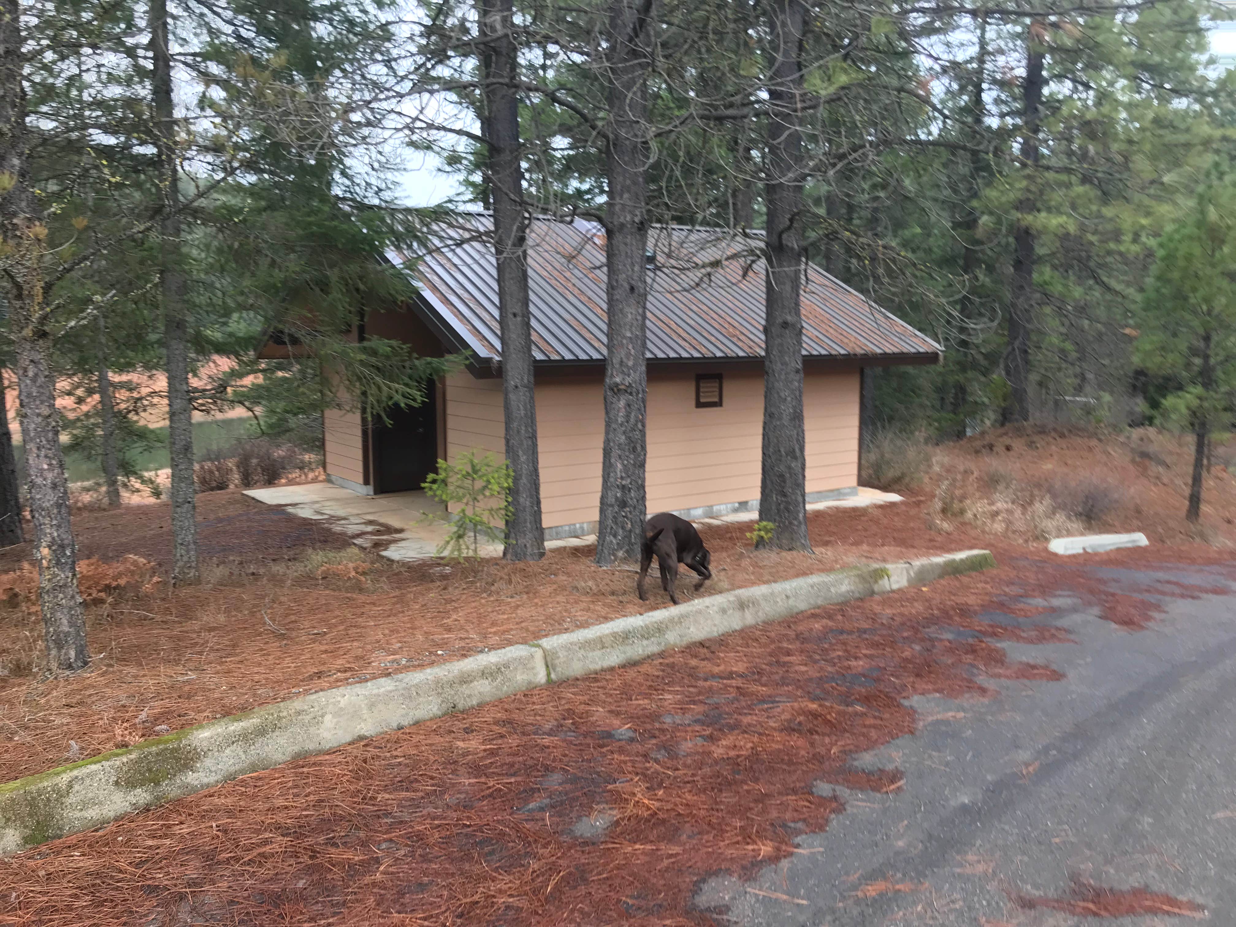 Camper submitted image from Alpine View Campground - 2