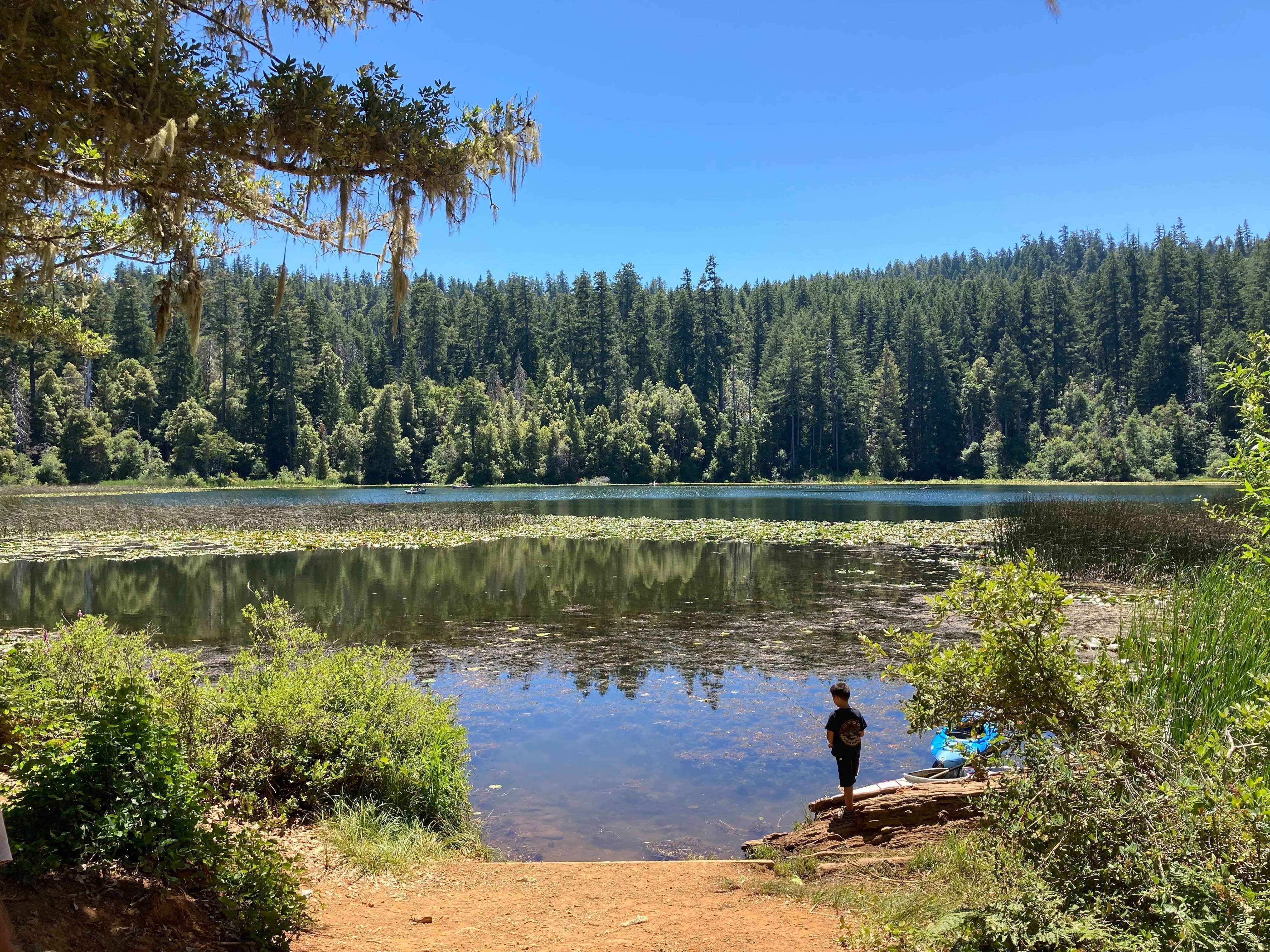 Camper submitted image from Fish Lake Campground - 5