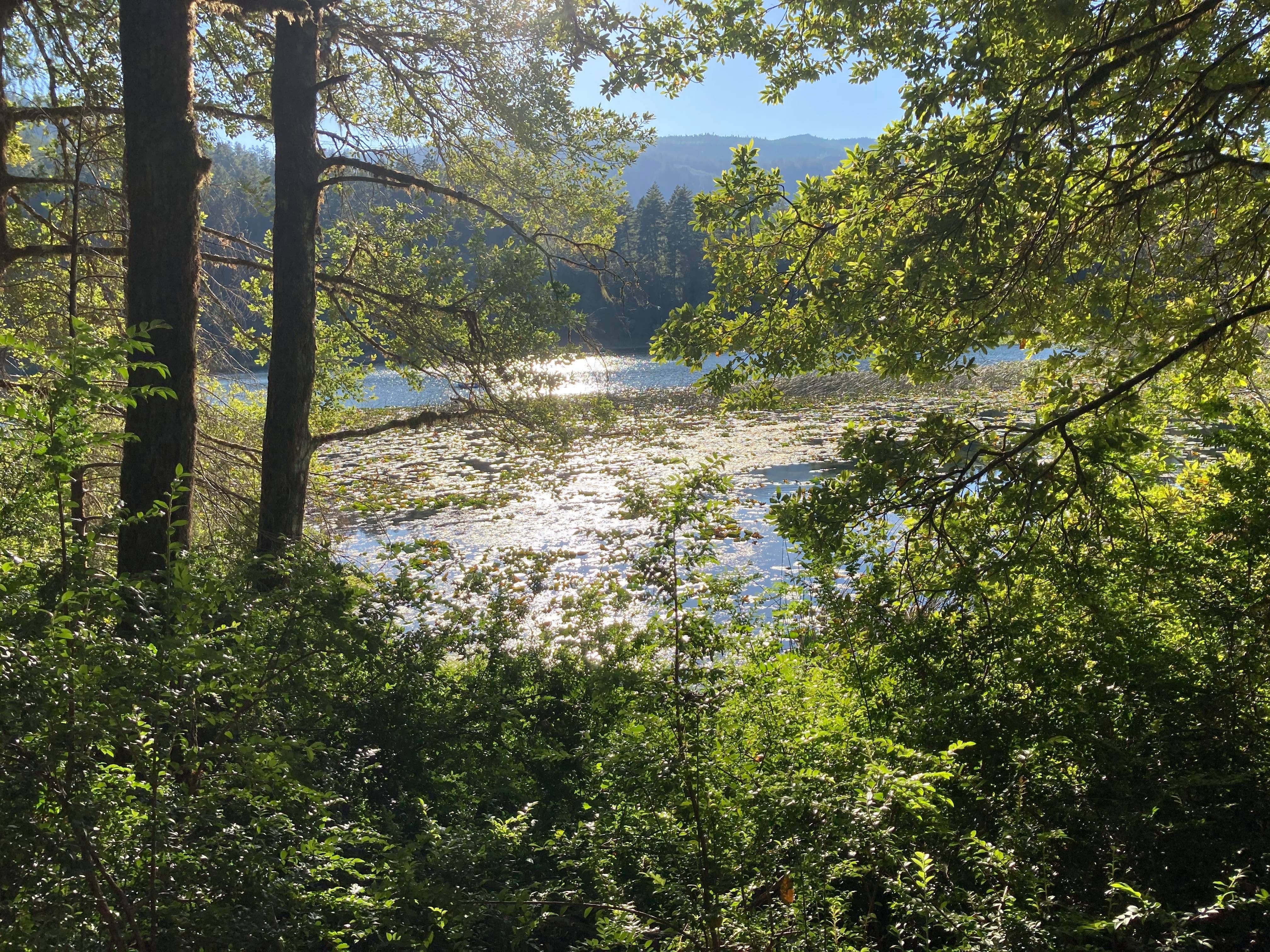 Camper submitted image from Fish Lake Campground - 3