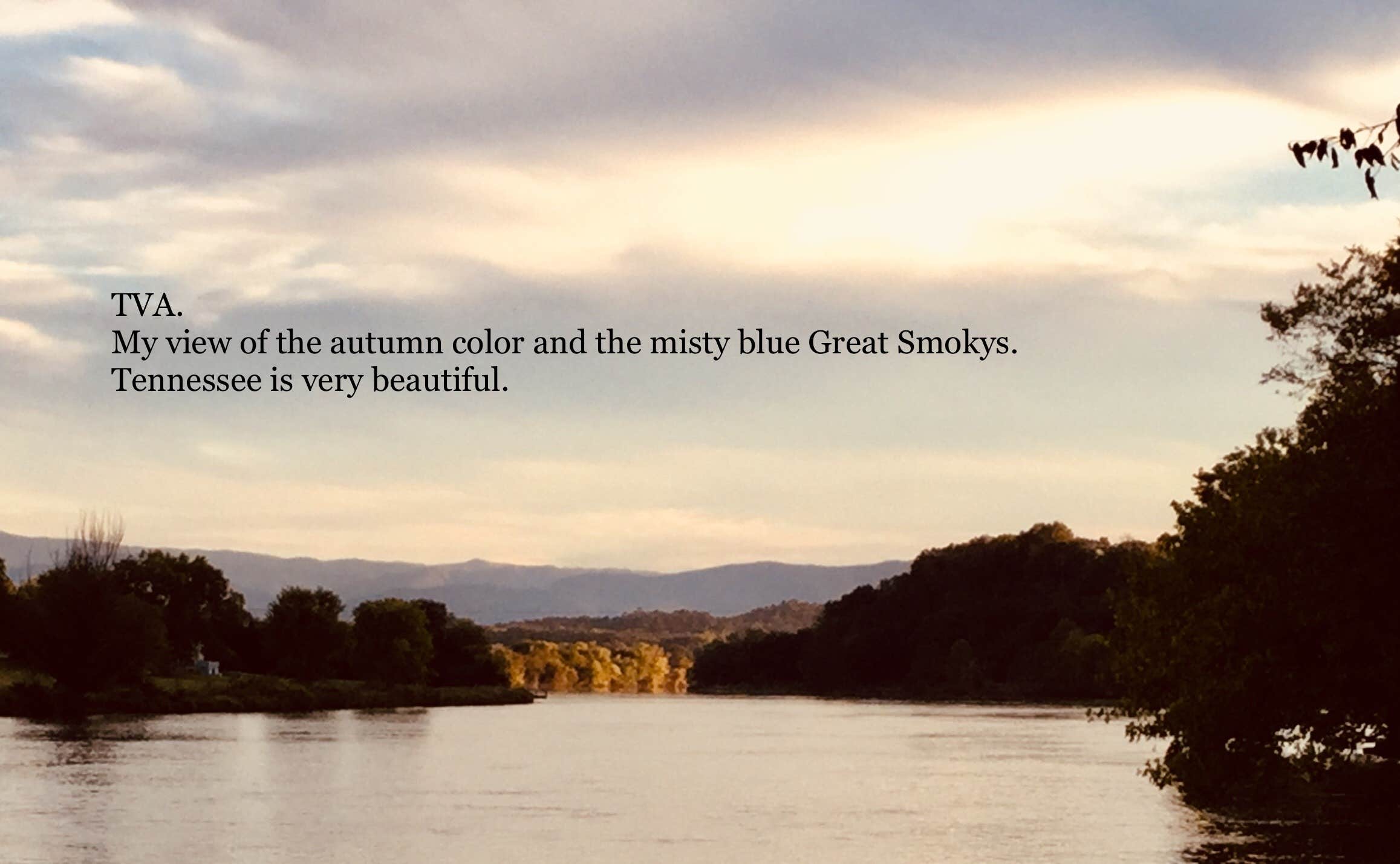 Camper-submitted photo at Douglas Tailwater Campground — Tennessee Valley Authority (TVA) near Kodak, TN