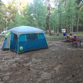 Review photo of North Rim Campground — Grand Canyon National Park by Dawn K., July 16, 2020
