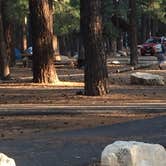 Review photo of North Rim Campground — Grand Canyon National Park by Dawn K., July 16, 2020