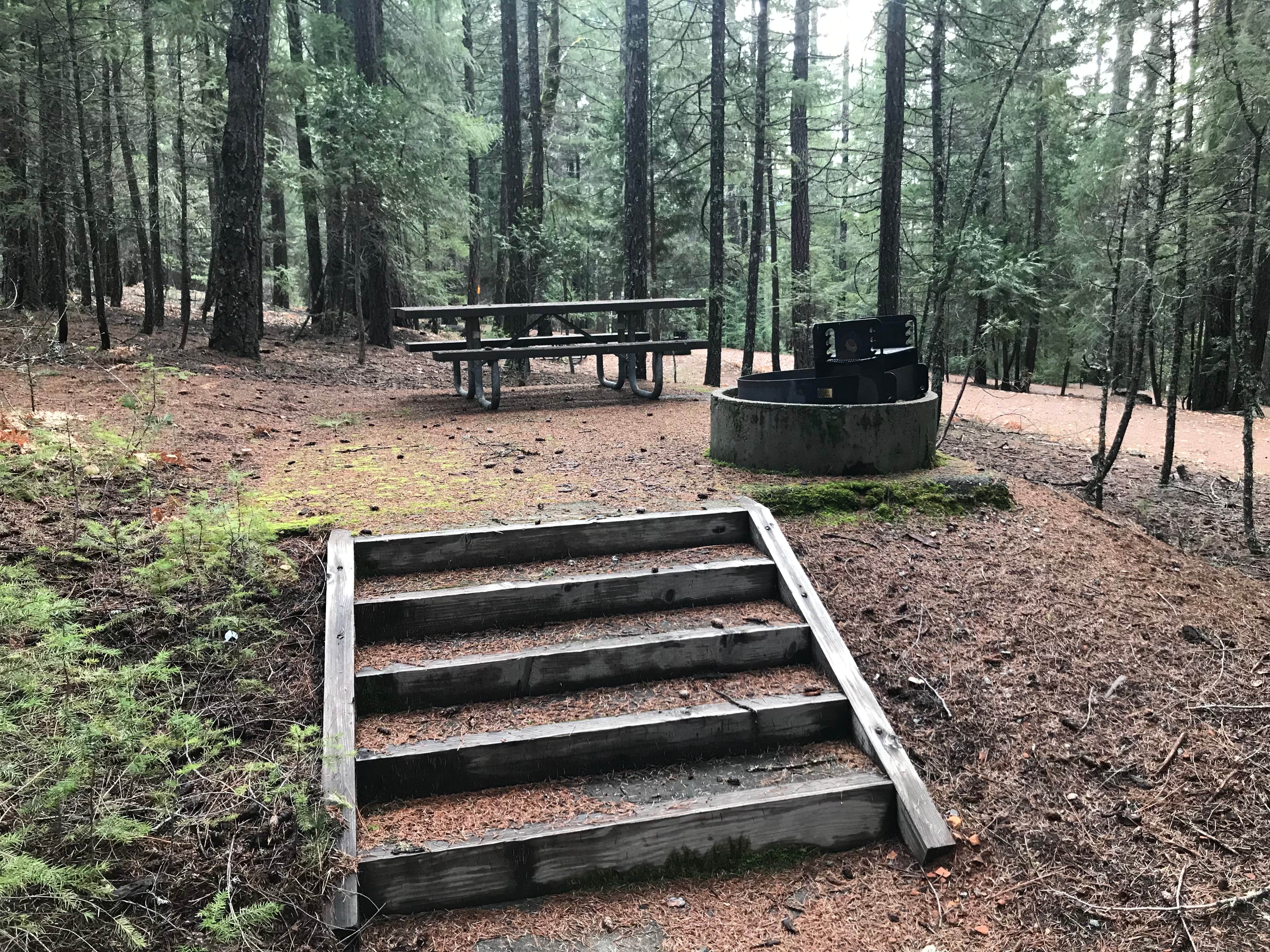 Camper submitted image from Alpine View Campground - 5