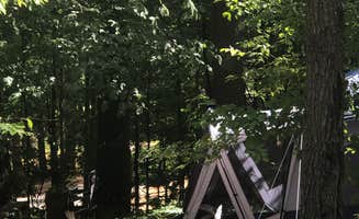 Alice C.'s photo at Moffitt Beach Campground near Piseco, NY