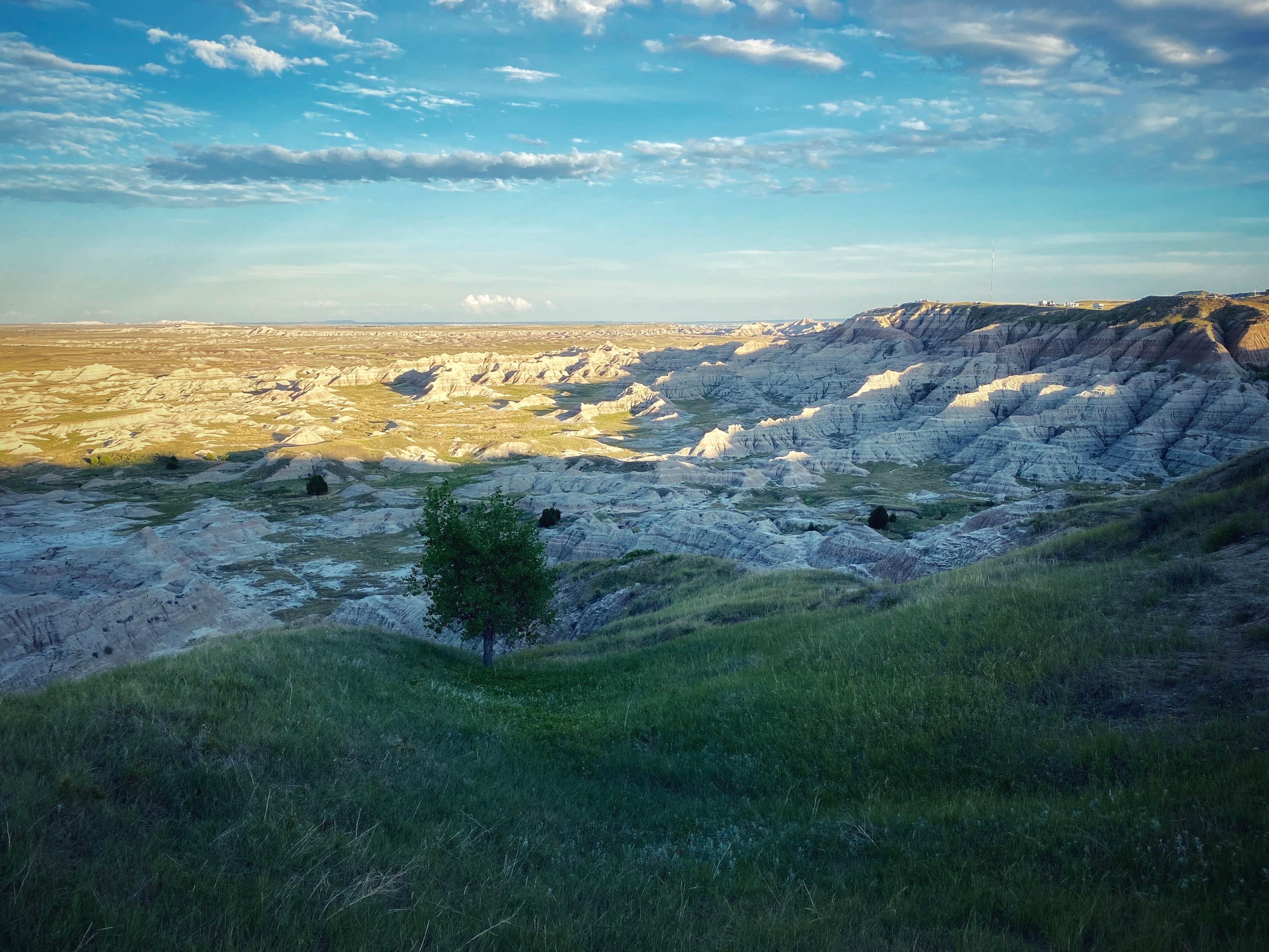 Camper submitted image from Buffalo Gap Dispersed Camping - 2