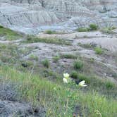 Review photo of Buffalo Gap Dispersed Camping by Charles  M., July 16, 2020