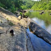 Review photo of Natural Bridge-Lexington KOA by Ron H., July 16, 2020