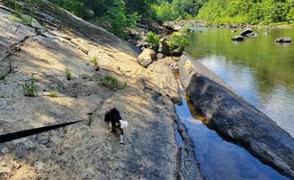 Ron H.'s photo of camping with pets at Natural Bridge-Lexington KOA near Montebello, VA
