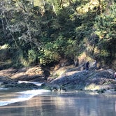 Review photo of Cape Disappointment State Park Campground by Charlotte  M., July 16, 2020