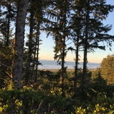 Review photo of Cape Disappointment State Park Campground by Charlotte  M., July 16, 2020